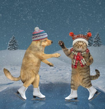 Kedi ve köpek donmuş gölette kayıyor.