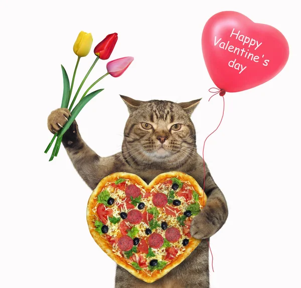 Cat κατέχει καρδιά σχήμα πίτσα 3 — Φωτογραφία Αρχείου