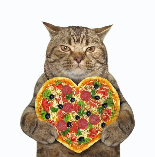 Kedi kalp şeklinde pizza tutar.