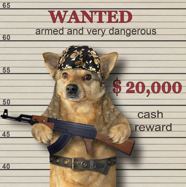 Wanted dog with machine gun