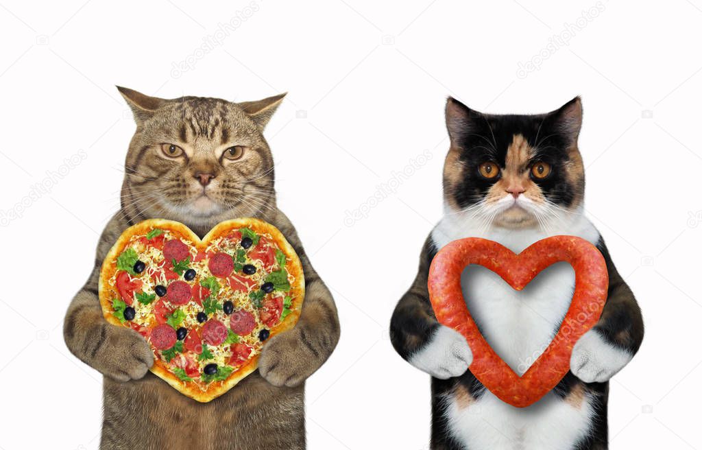 Cats hold heart shaped food
