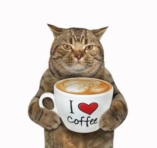 Kočka drží šálek kávy s textem — Stock fotografie