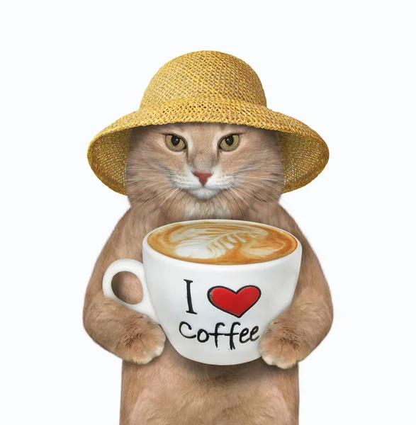 Kat houdt kop koffie met tekst 3 — Stockfoto