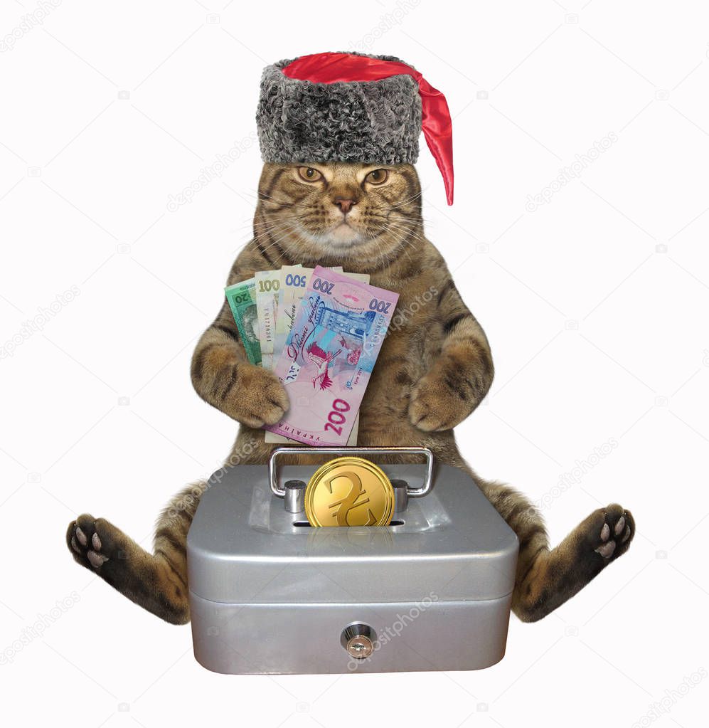 Cat cossack with metal safe