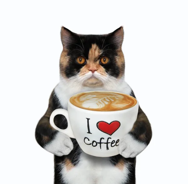 Kat houdt kop koffie met tekst 2 — Stockfoto