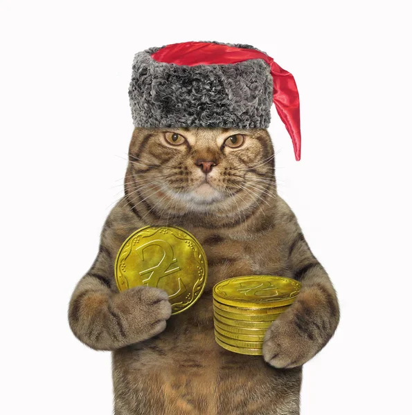 Cosaco gato sostiene hryvnias metal — Foto de Stock