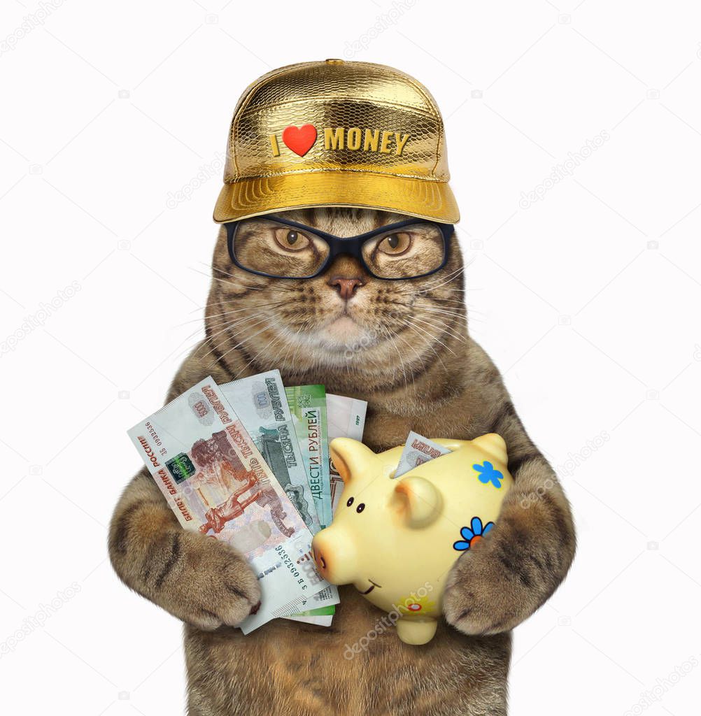Cat holds piggy bank with rubles