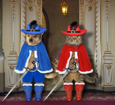 Köpek ve kedi kalede.