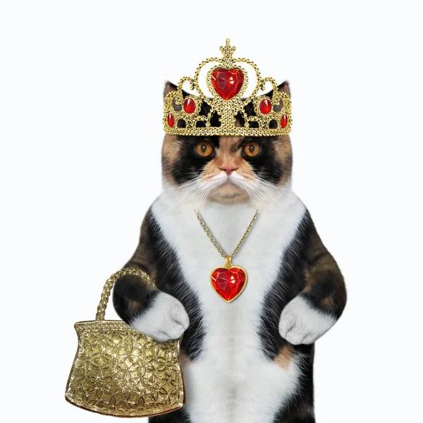 Cat with crown and handbag — Stock Photo, Image