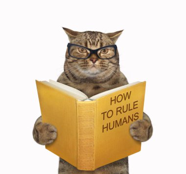 Kedi insan hakkında kitap okuyor.