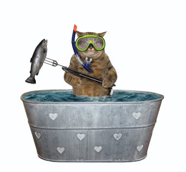 Kedi küvette balık yakaladı.