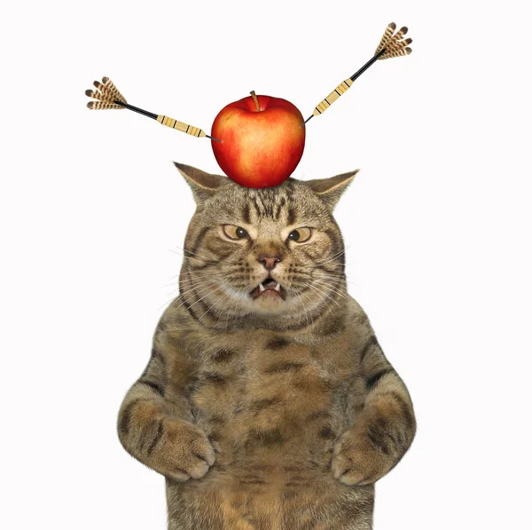 Kot z jabłkiem na głowie 3 — Zdjęcie stockowe