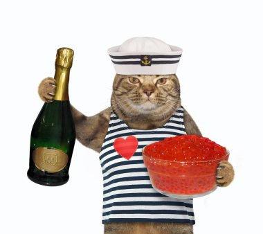 Kırmızı havyarlı kedi denizci.