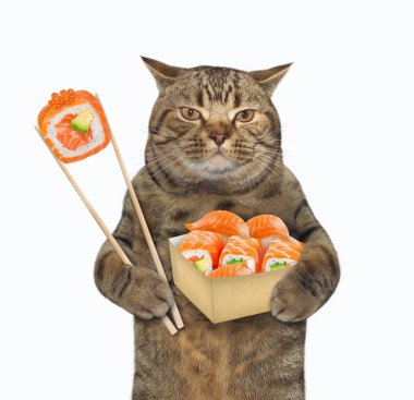Kedi yemek çubukları ile suşi yiyor
