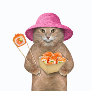 Kedi yemek çubuklarıyla suşi yiyor.