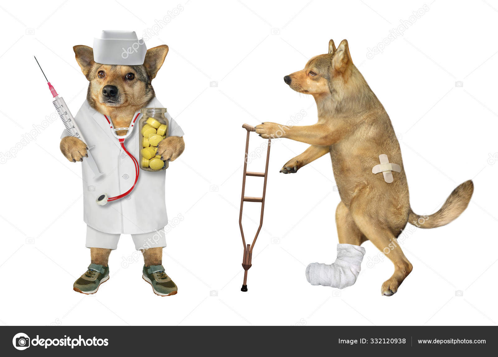 How Is A Dogs Broken Leg Treated