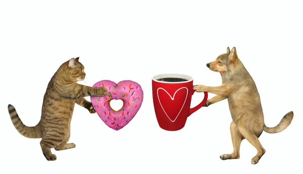 Hund mit Kaffee und Katze mit Donut — Stockfoto
