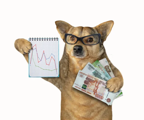 Hund hält Notizbuch und Rubel — Stockfoto