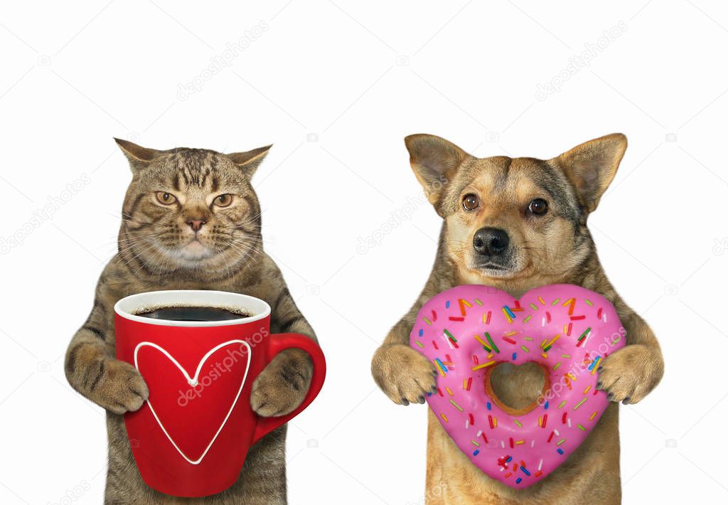 Cat with coffee and dog with donut