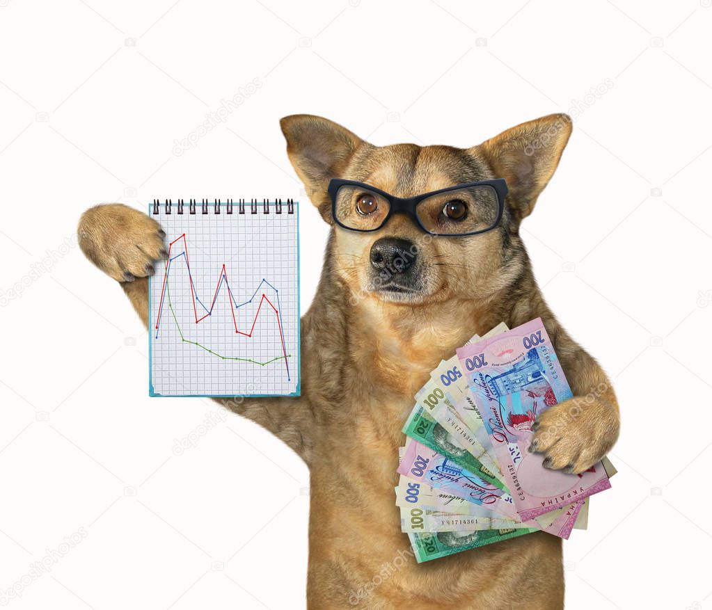 Dog holds notebook and hryvnia