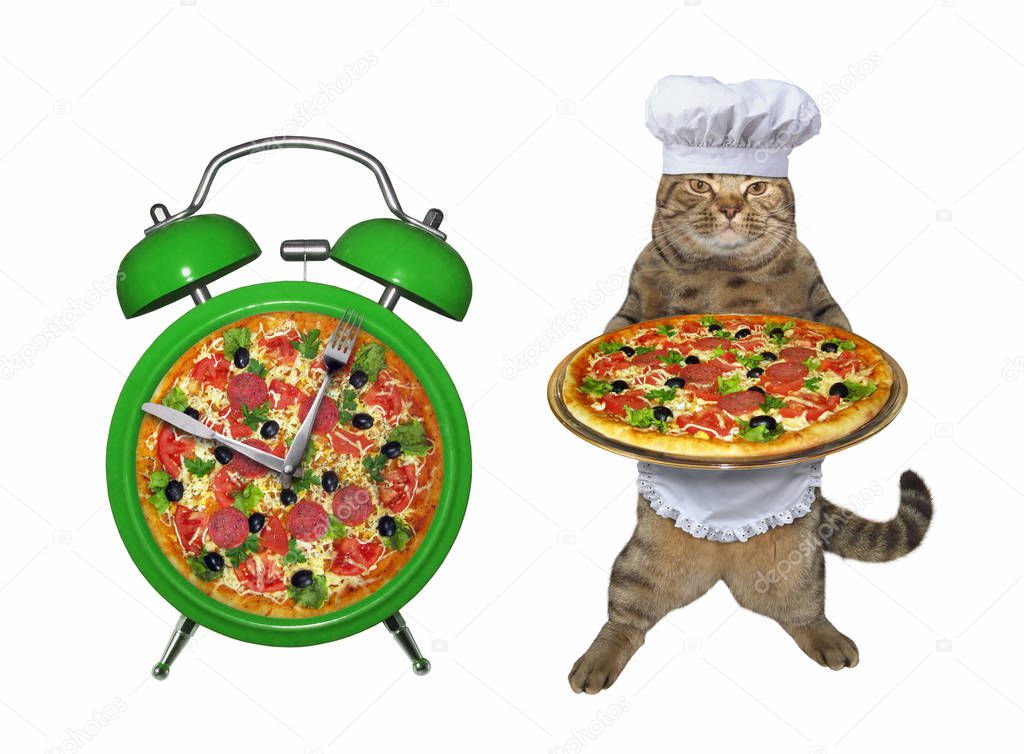 Cat with pizza near alarm clock