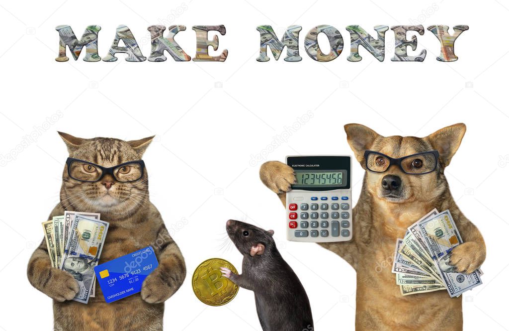 Dog with cat and rat make money 2