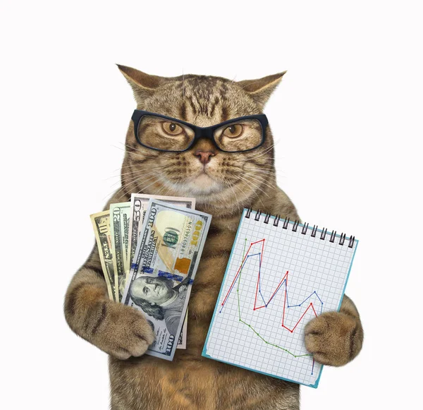 Katze hält Notizbuch und Geld — Stockfoto