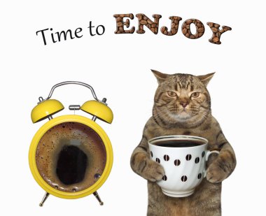 Kahveli kedi çalar saatin yanında.