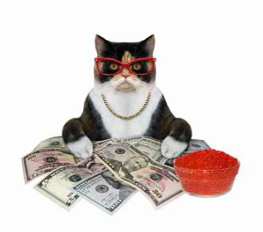 Kırmızı havyarlı kedi ve para 2