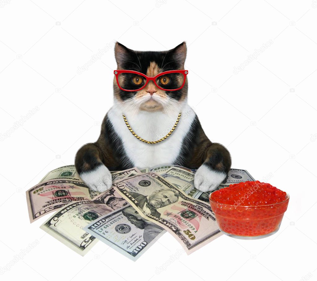Cat with red caviar and money 2