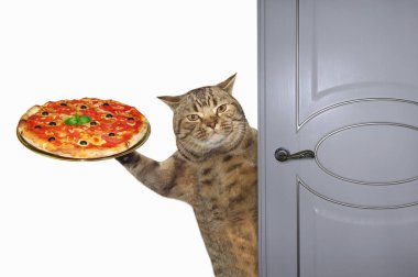 Pizzalı kedi kapıyı açar.