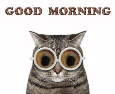 Kahve bardaklı kedi.