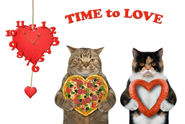 Gatos apaixonados perto do relógio 2 — Fotografia de Stock
