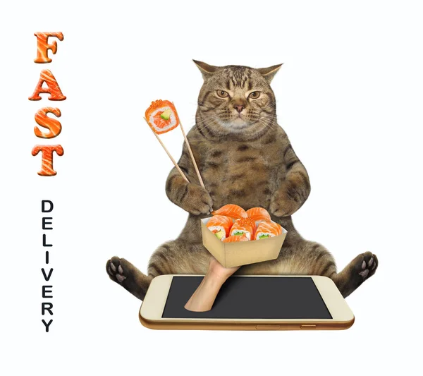 Cat bierze sushi z telefonu — Zdjęcie stockowe