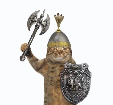 İki taraflı balta ile kedi viking