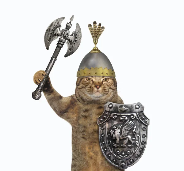 Katt viking med tvåsidig yxa — Stockfoto