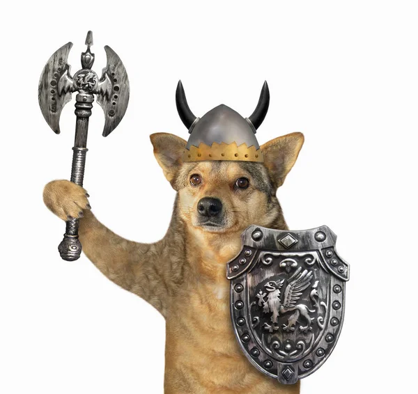 Dog viking in helmet with horns — Stock Photo, Image