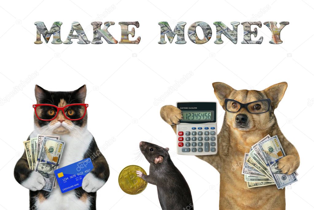 Dog with cat and rat make money 3