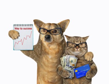 Köpek ve kedi bankacıdır.