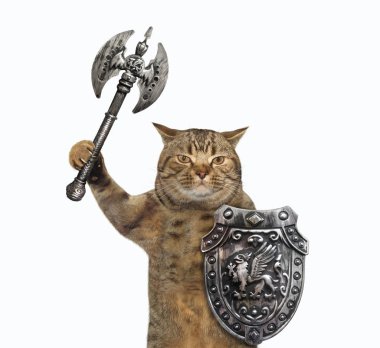 Savaş baltası ile kedi viking