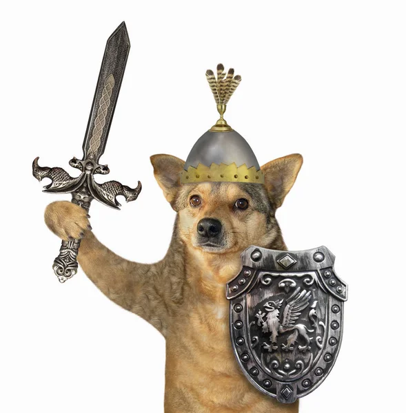 Hund Wikinger mit eingelegtem Schwert 2 — Stockfoto