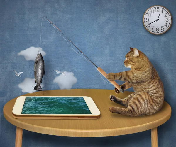 Pesca do gato no telefone 2 — Fotografia de Stock