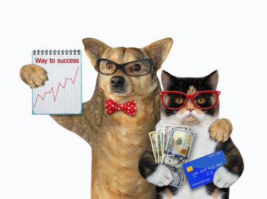 Köpek ve kedi bankacıdır.