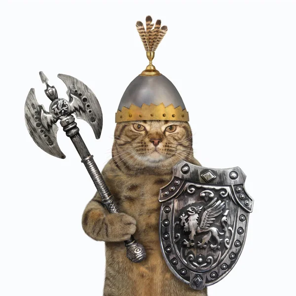 Cat viking with two sided axe 2 — Stock Photo, Image