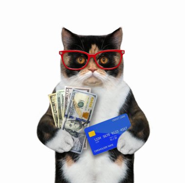 Cat with credit card and money