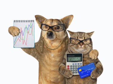 Dog and cat are bankers 4