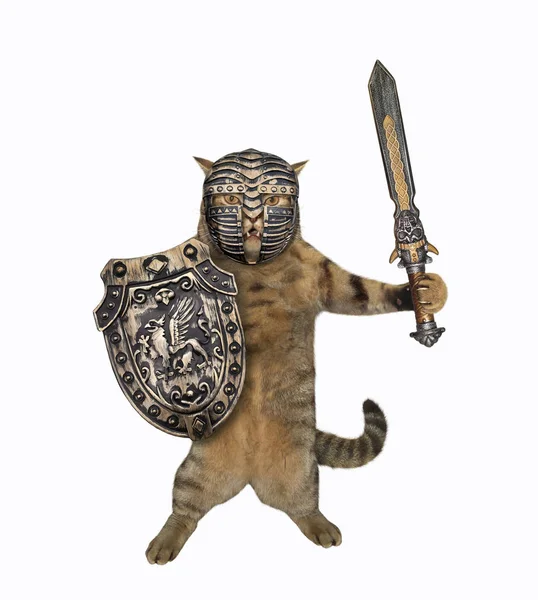 Cat knight in closed helmet 3 — Stock Photo, Image