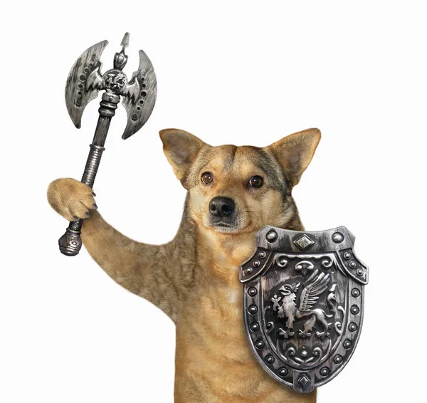 Dog viking with battle axe — Stock Photo, Image