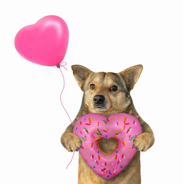 Perro con donut en forma de corazón — Foto de Stock