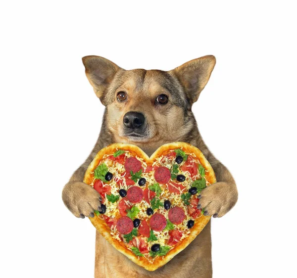 Perro con pizza en forma de corazón —  Fotos de Stock